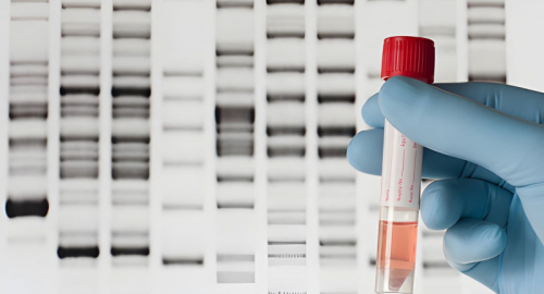 Vaiolo nelle Americhe, il DNA di due mummie conferma l'origine europea